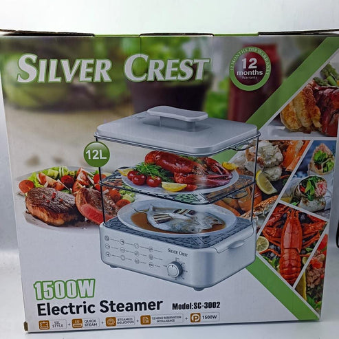 Electric Steamer and Defroster